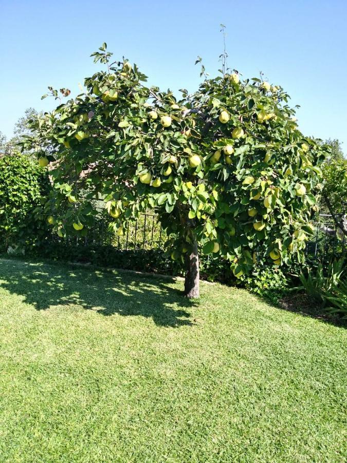 Caces Jardin De La Yedra 게스트하우스 외부 사진