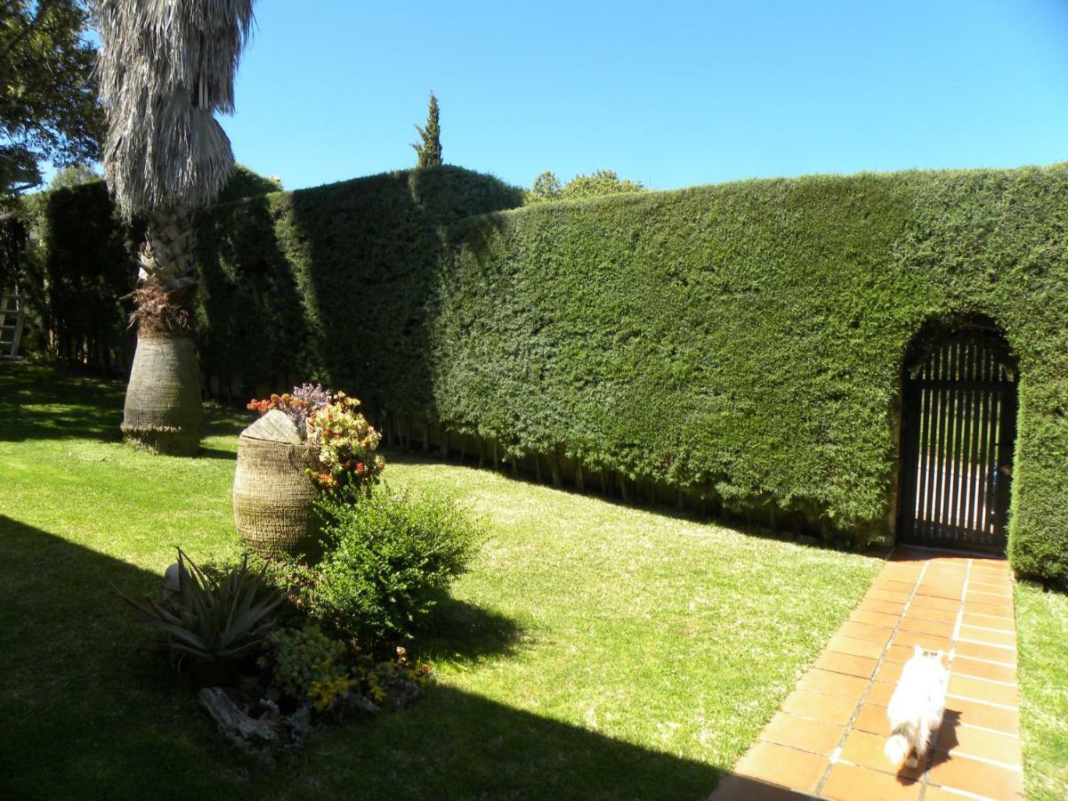 Caces Jardin De La Yedra 게스트하우스 외부 사진