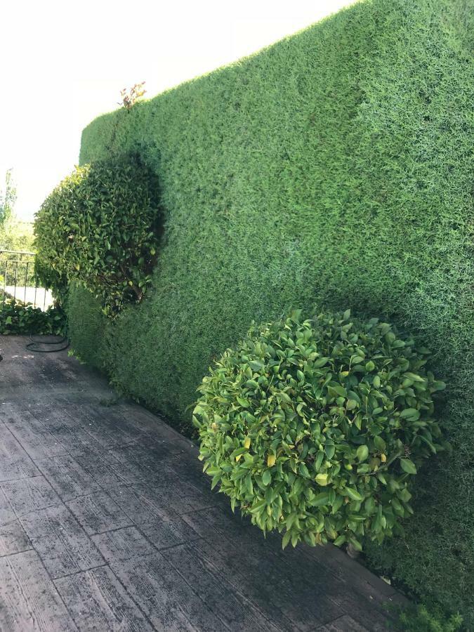 Caces Jardin De La Yedra 게스트하우스 외부 사진