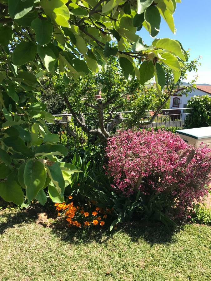 Caces Jardin De La Yedra 게스트하우스 외부 사진